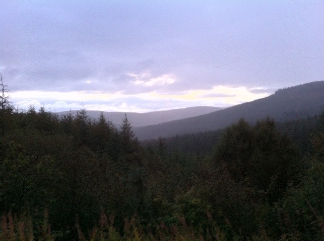 20111009-213625.jpg