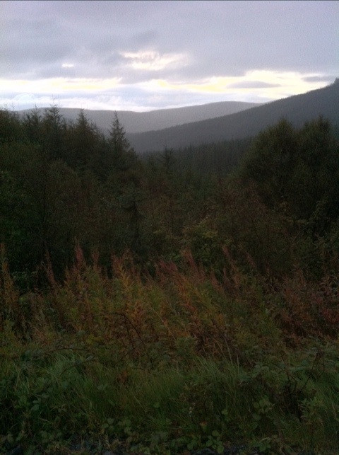 20111009-213731.jpg