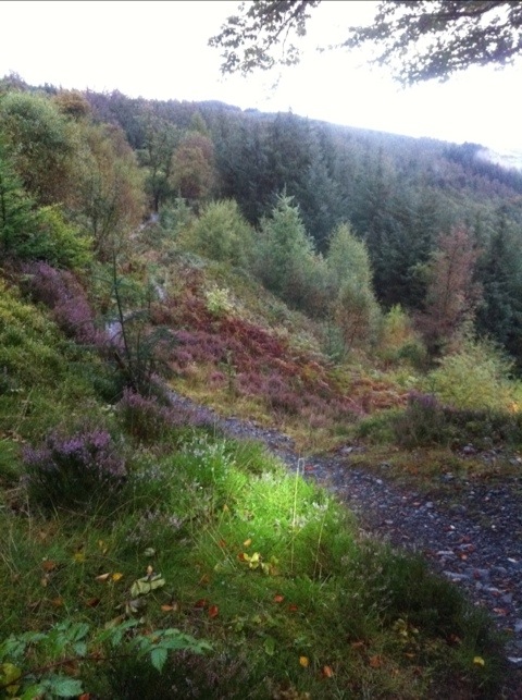 20111009-213850.jpg