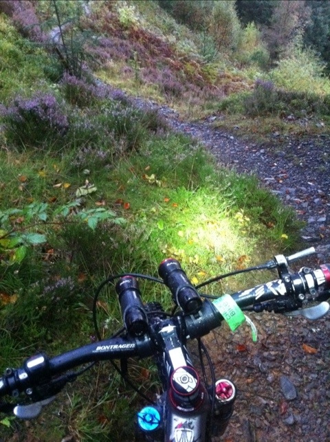20111009-213915.jpg