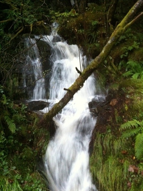 20111009-213936.jpg