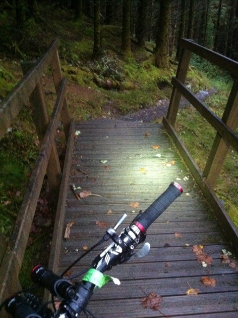 20111009-213952.jpg