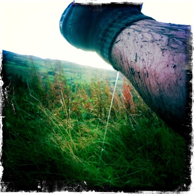 20111009-214122.jpg