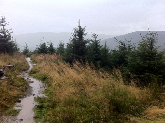 20111009-214143.jpg